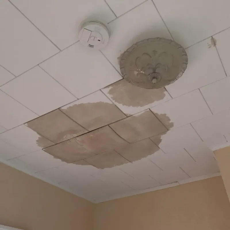 Ceiling Water Damage Repair in Brooklyn, WI