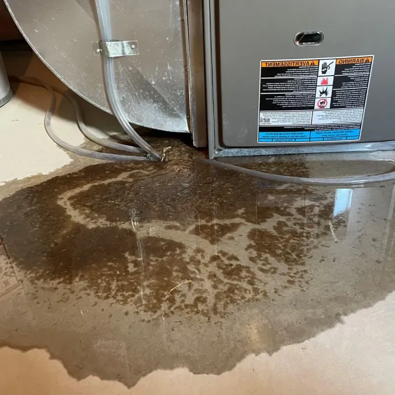 Pipe Burst and Leak Restoration in Brooklyn, WI